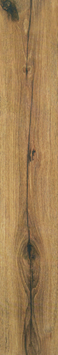 Springwood Miel