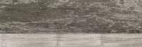 Amazonia Gris