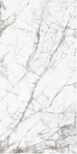 Invisible White