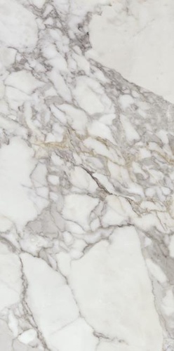 Calacatta Silver Pоl Rect.