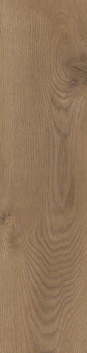 Taiga Brown