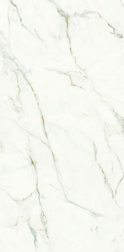 Calacatta Oro LEV Rett.