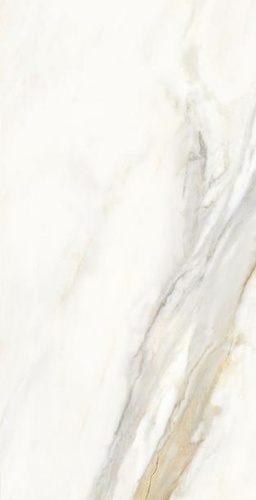 Anubis Gold Polished