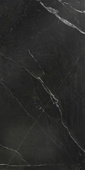 Nero Nanotech Black Pol