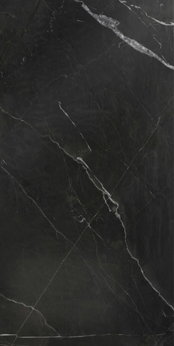 Nero Nanotech Black Pol
