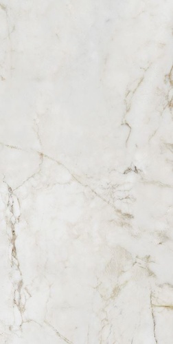 Shellstone White Pol